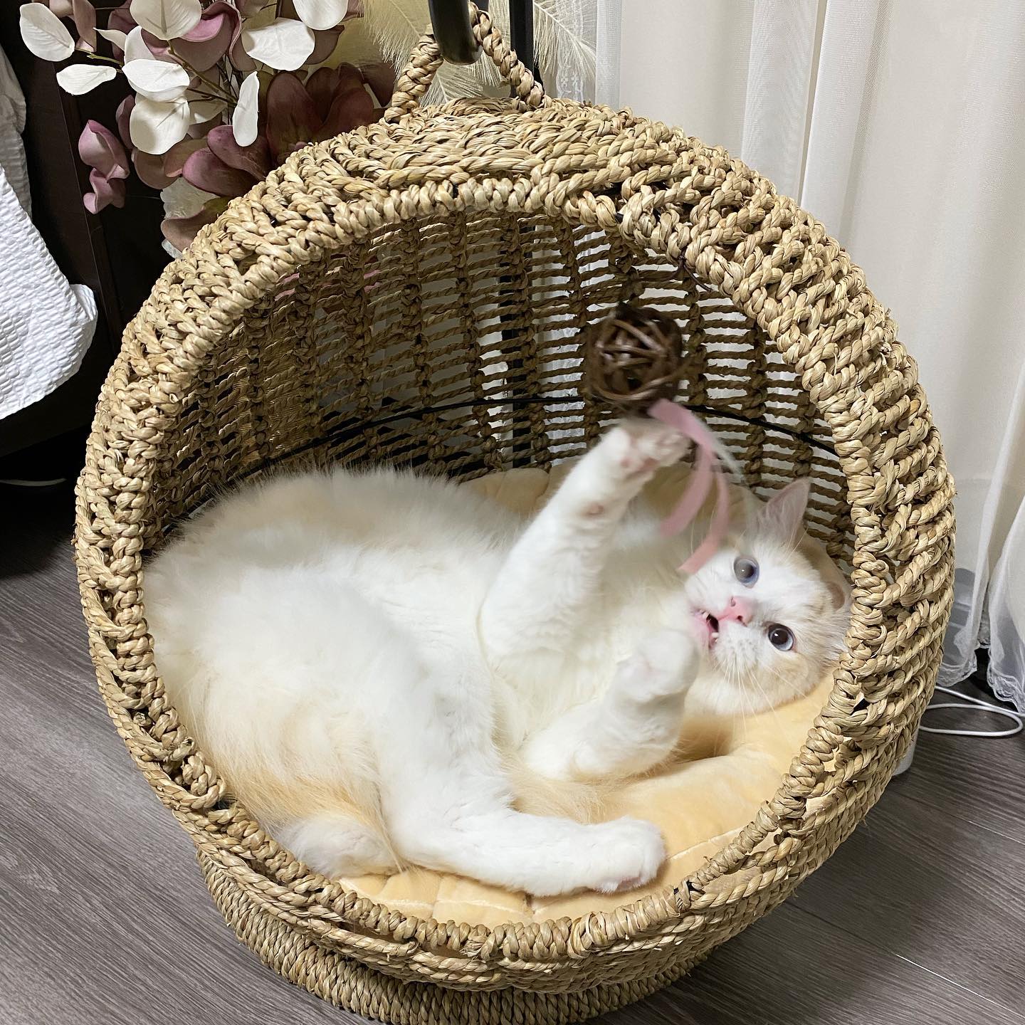 サークル型ラタン風 キャットハウス 人気No.1猫ベッド！サークル型ラタン風 キャットハウス（クッション